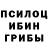 Галлюциногенные грибы Cubensis arghadeep das