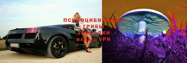 героин Алексин