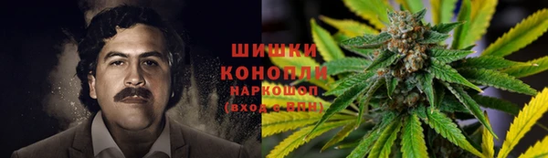 прущие крисы Аркадак