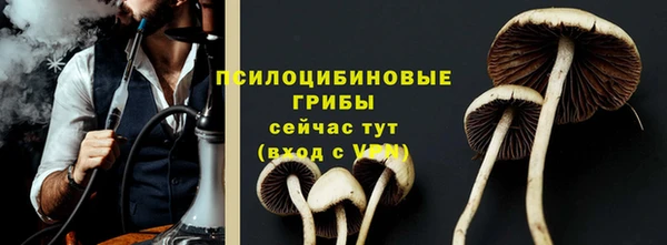 ГАЛЛЮЦИНОГЕННЫЕ ГРИБЫ Алзамай