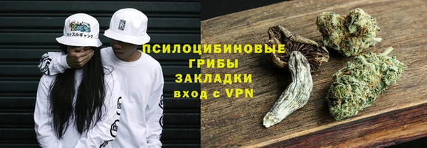 прущие грибы Арсеньев