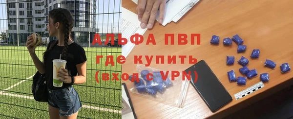 прущие грибы Арсеньев