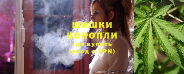 прущие грибы Арсеньев